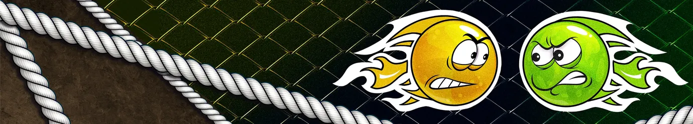 Liga internațională MMA